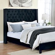 Black velvet-like fabric transitional style bed additional photo 2 of 3