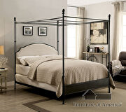 Powder coated gun metal, beige transitional bed by Furniture of America additional picture 4