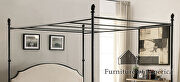 Powder coated gun metal, beige transitional bed by Furniture of America additional picture 5