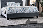 Gray finish fully upholstered frame transitional full bed by Furniture of America additional picture 6