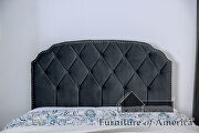 Gray finish fully upholstered frame transitional twin bed by Furniture of America additional picture 3