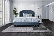 Gray finish fully upholstered frame transitional twin bed by Furniture of America additional picture 5
