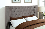 Gray fully upholstered frame transitional bed by Furniture of America additional picture 7