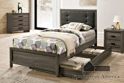 Button-tufted padded headboard gray/charcoal finish youth bedroom by Furniture of America additional picture 8