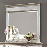 Mirrored panel stylish silver finish dresser by Furniture of America additional picture 2