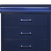 Rubberwood casual style blue chest by Global additional picture 2