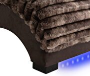 Dominic (Brown) additional photo 1