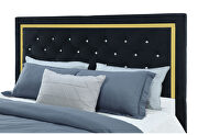 Black with golden trim stylish bed in glam style by Global additional picture 9