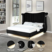 Black velvet wingback headboard queen bed w/ multicolor led lights by Galaxy additional picture 2