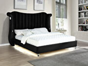 Black velvet wingback headboard queen bed w/ multicolor led lights by Galaxy additional picture 5