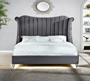 Gray velvet wingback headboard queen bed w/ multicolor led lights by Galaxy additional picture 3