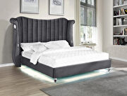 Gray velvet wingback headboard queen bed w/ multicolor led lights by Galaxy additional picture 4