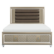 Champagne metallic finish queen platform bed with led lighting and storage footboard by Homelegance additional picture 6