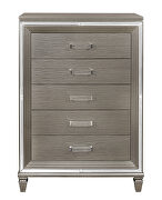 Silver-gray metallic finish chest by Homelegance additional picture 4