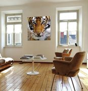 Premum acrylic wall art w/ tiger photo by J&M additional picture 2