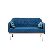Light blue velvet upholstery accent loveseat with metal feet by La Spezia additional picture 4