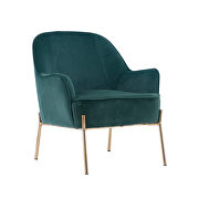 Modern new soft green velvet material ergonomics accent chair by La Spezia additional picture 16