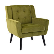Modern green soft velvet material ergonomics accent chair by La Spezia additional picture 7