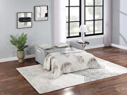 Gray microfiber upholstery sofa 2-seat sofa bed with 2 pillow by La Spezia additional picture 2