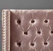 Modern gold legs / nailheads pink velvet full bed by Meridian additional picture 4