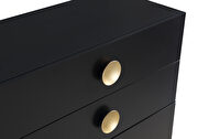 Contemporary black stylish chest w/ golden legs by Meridian additional picture 8