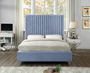 Modern sky blue velvet fabric bed w/ platform by Meridian additional picture 2