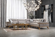Contemporary gray velvet sectional with gold trim by Empire Furniture USA additional picture 6