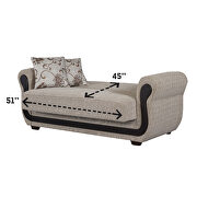 Modern gray/beige chenille sofa bed by Empire Furniture USA additional picture 7