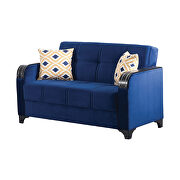 Blue microfiber stylish sleeper sofa w/ storage by Empire Furniture USA additional picture 5