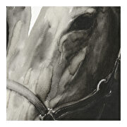 Contemporary horses wall decor by Moe's Home Collection additional picture 3