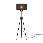 Standing floor lamp in black by Modway additional picture 10