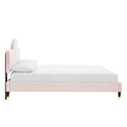 Performance velvet upholstery queen bed in pink by Modway additional picture 4