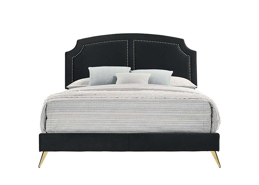 Gold-finished nailhead trim headboard contemporary king bed by Acme