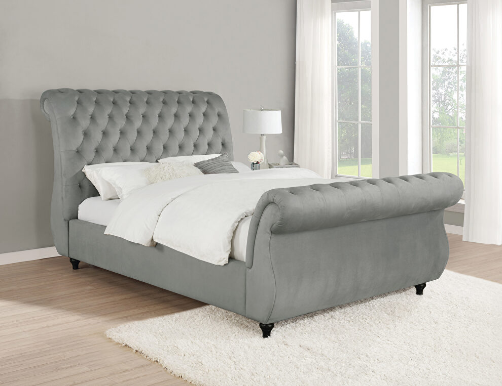 E king bed upholstered in luxurious frosted gray velvet by Coaster