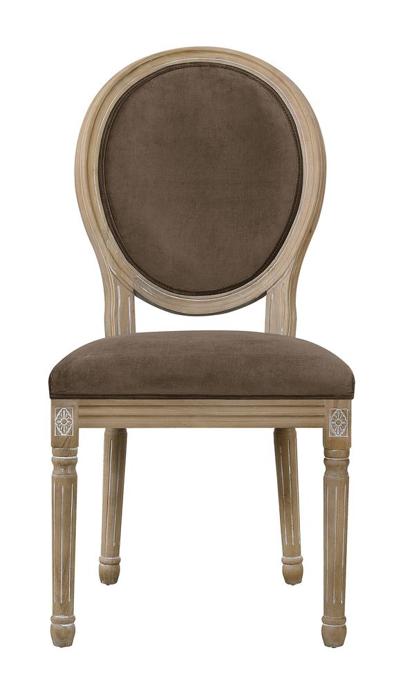 Nutella velvet dining chair by Coaster