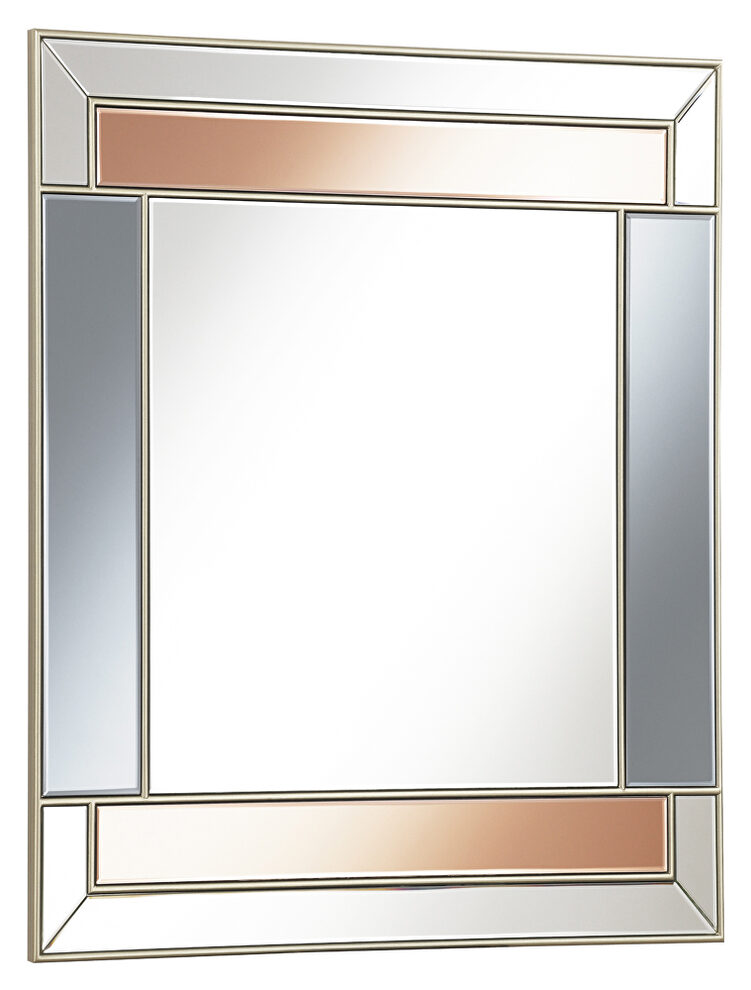 Champagne and gray finish rectangular wall mirror by Coaster