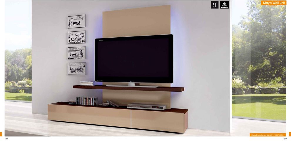 Contemporary Wood TV Stand by ESF