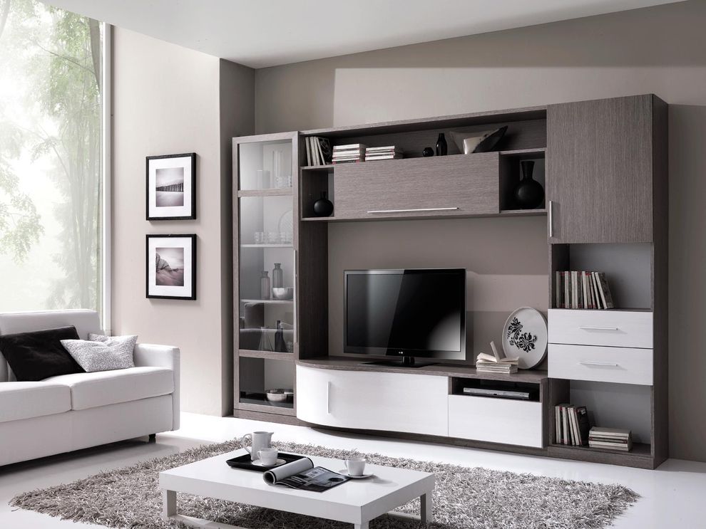Contemporary wall unit w/ tv base by ESF