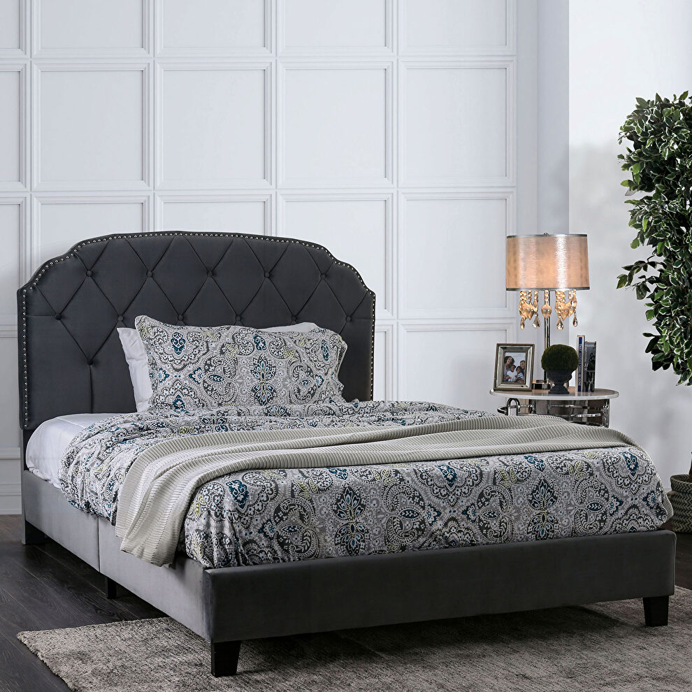 Gray finish fully upholstered frame transitional twin bed by Furniture of America