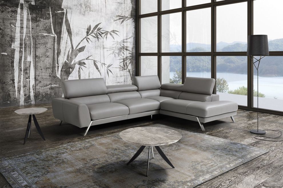 Gray contemporary full leather sectional sofa by J&M