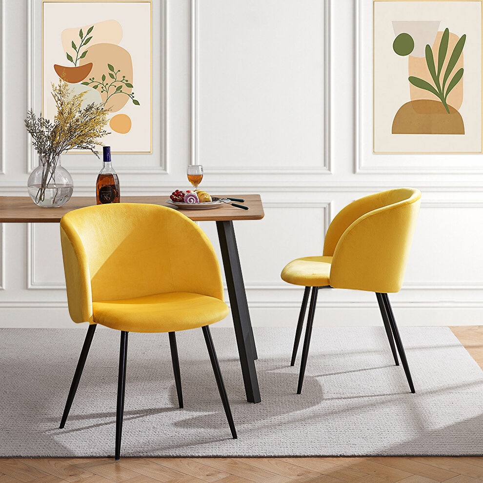 Yellow velvet upholstery dining chair with metal legs, set of 2 by La Spezia
