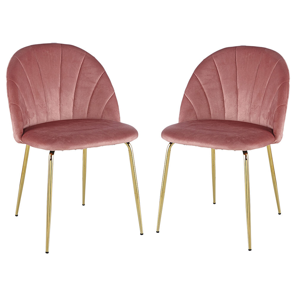 Modern pink dining chair(set of 2 ) with iron tube golden legs, velvet cushions and comfortable backrest by La Spezia