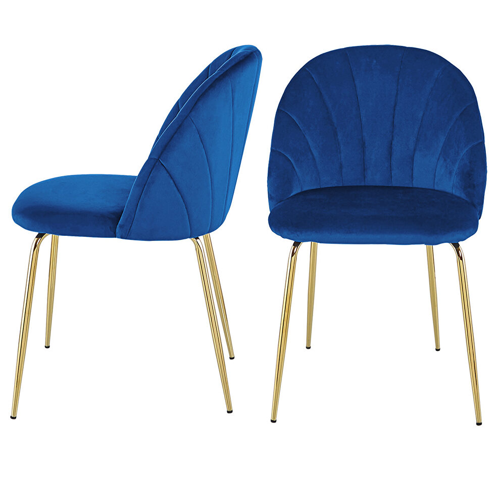 Modern blue dining chair (set of 2) with iron tube golden legs, velvet cushion and comfortable backrest by La Spezia