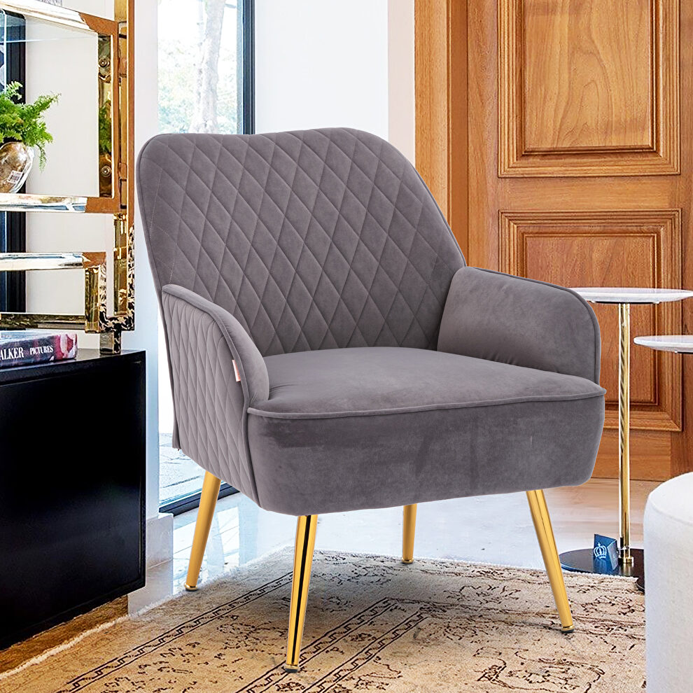 Modern gray soft velvet material accent chair by La Spezia