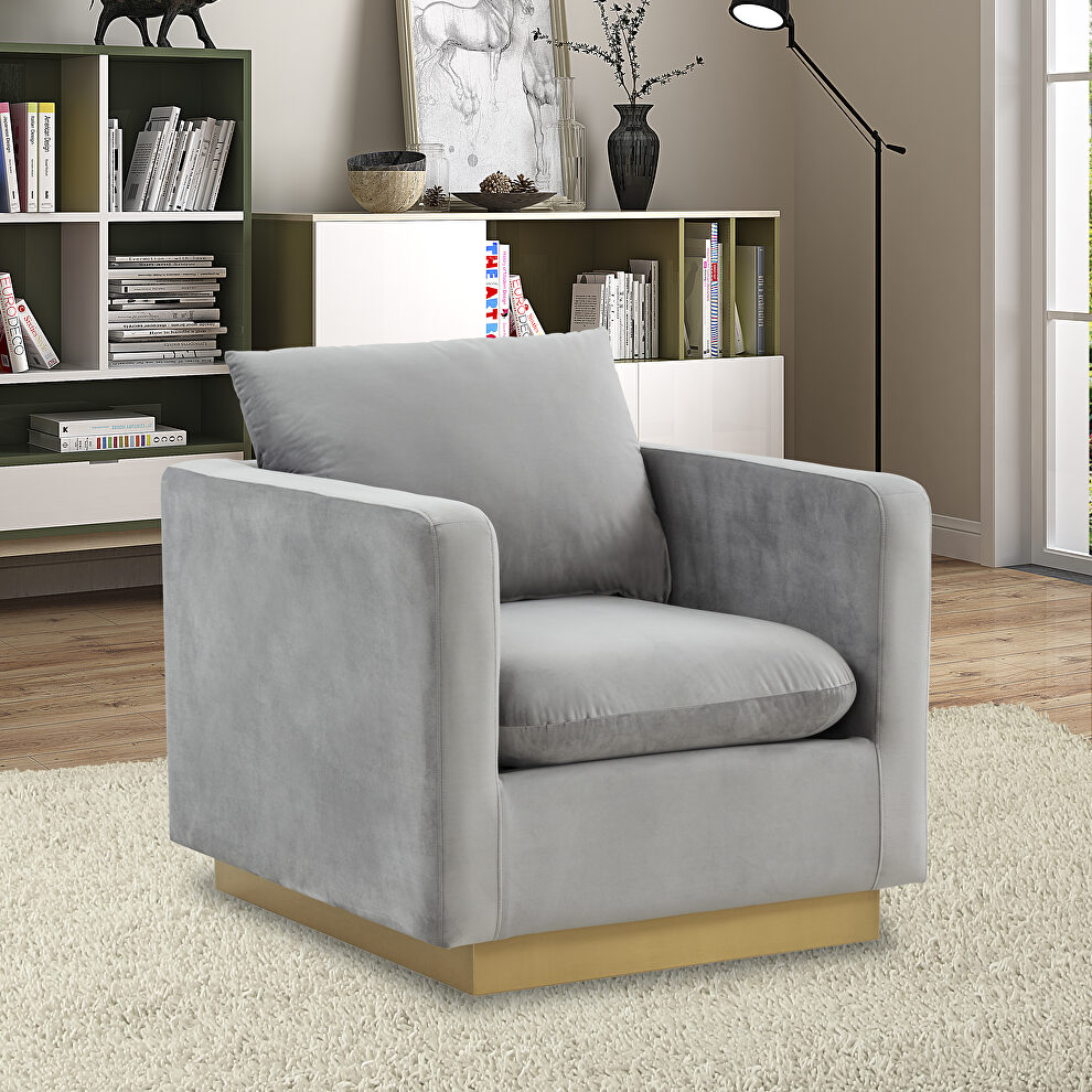 Light gray velvet accent armchair w/ gold frame by Leisure Mod