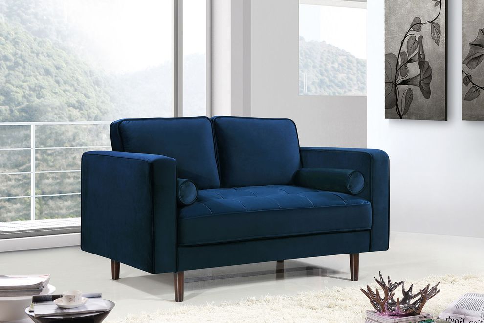 Velvet fabric contemporary loveseat w/ tufted seat by Meridian