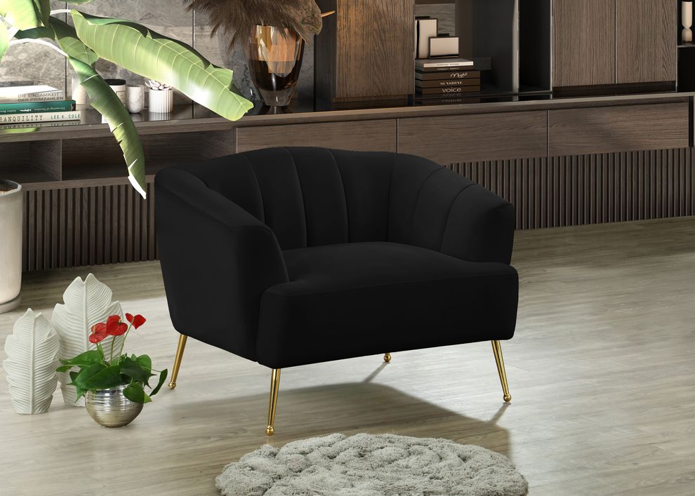 Black velvet contemporary chair w/ golden legs by Meridian