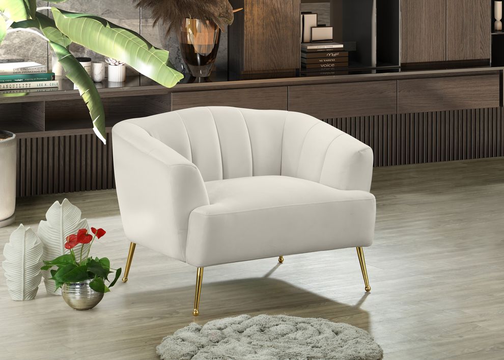 Cream velvet contemporary chair w/ golden legs by Meridian