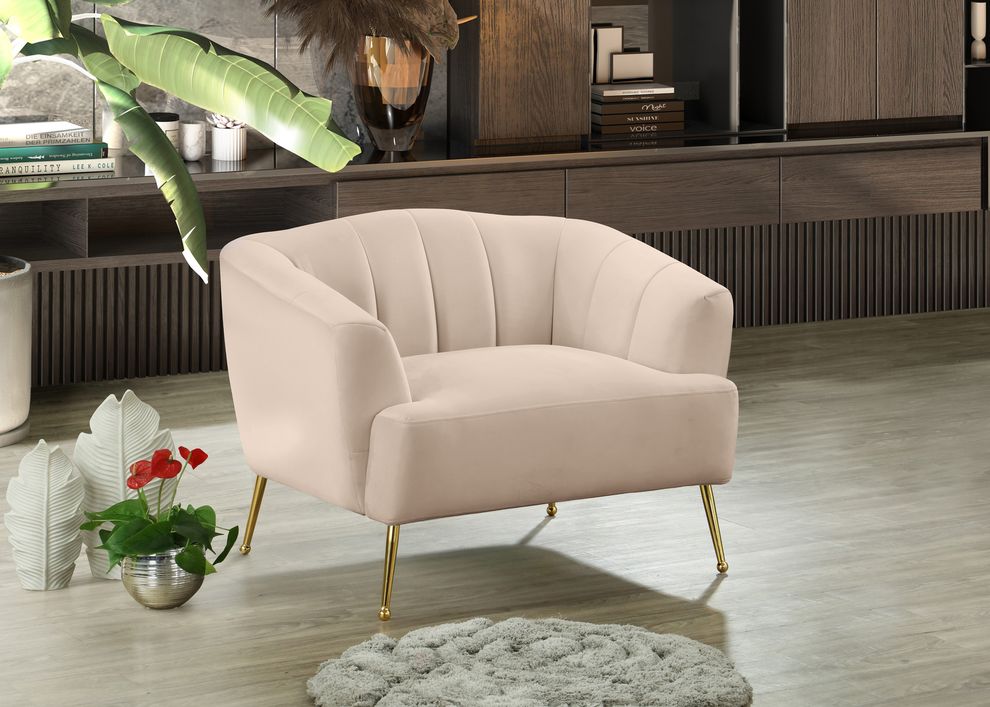 Pink velvet contemporary chair w/ golden legs by Meridian