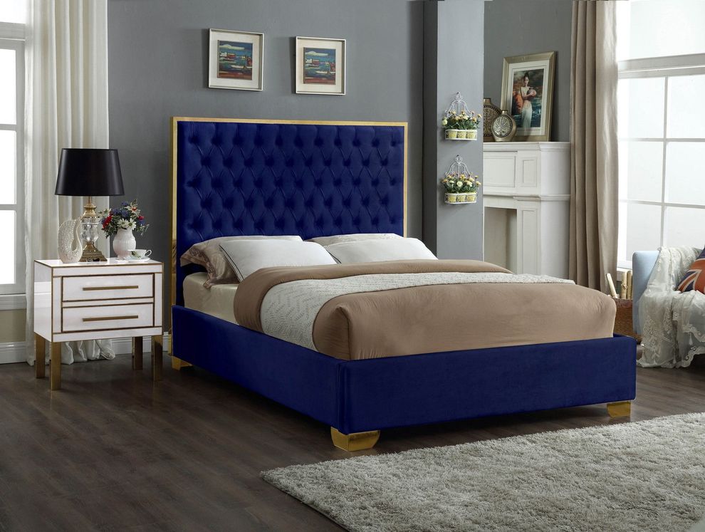 Modern gold legs/trim tufted bed in navy velvet by Meridian